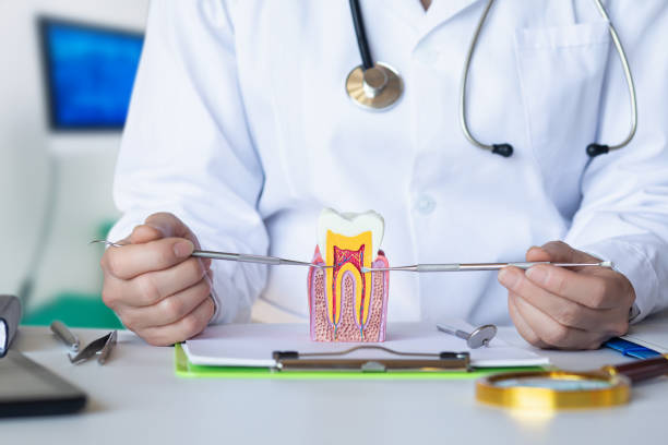 Best Broken Tooth Emergency  in Pato, WA